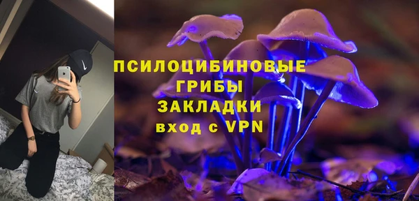 ECSTASY Пролетарск