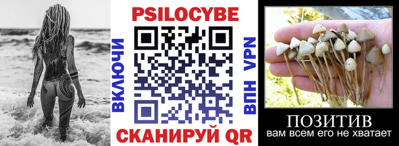 Галлюциногенные грибы Psilocybine cubensis  Купить где  Устюжна 